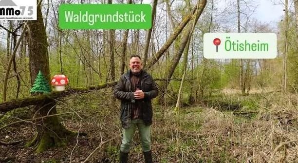 Grundstück in Ötisheim: Waldgrundstück