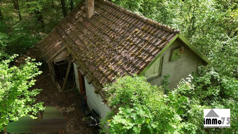 Haus in Mühlacker: Haus im Wald