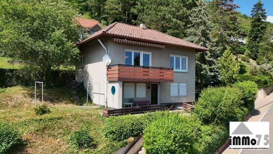 Einfamilienhaus in Niefern (Niefern-Öschelbronn): Aussenansicht Vorderhaus